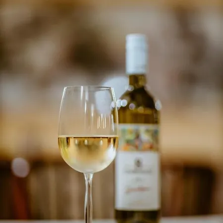 Restoran Lovac 3* Novi Knezevac